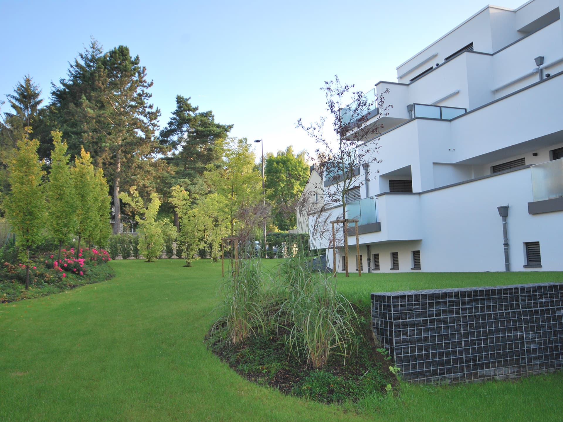 AmExt - Murs, murets et gabions